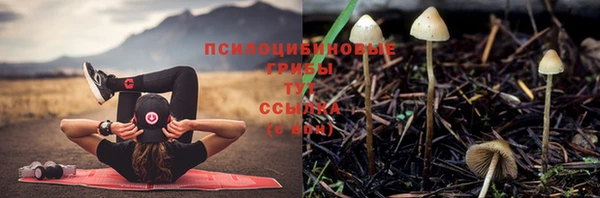 соль ск Алексин