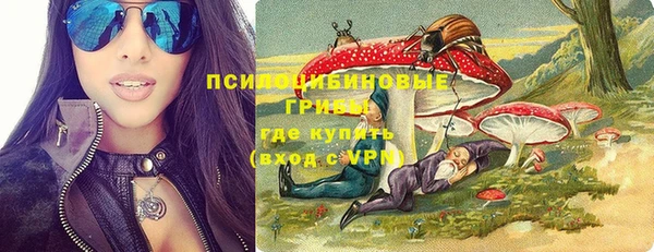 ГАЛЛЮЦИНОГЕННЫЕ ГРИБЫ Алзамай