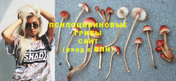 дмт Алексеевка