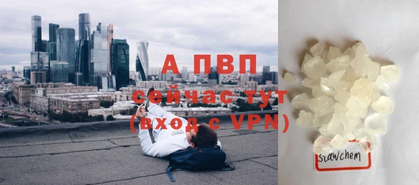 стафф Абинск