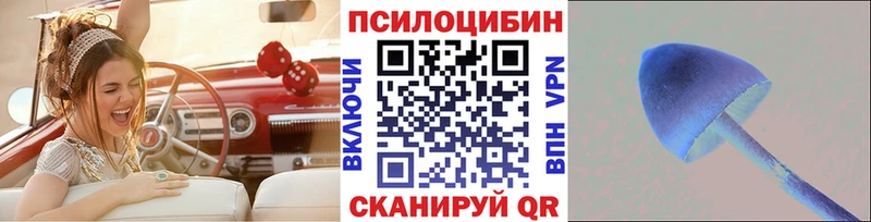 как найти   Катав-Ивановск  Галлюциногенные грибы прущие грибы 